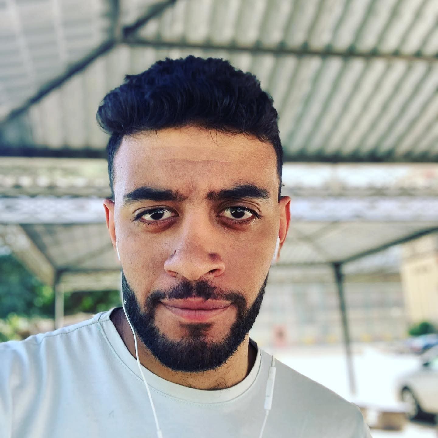 Mahmoud Magdy Ibrahim الصفحة الشخصية 
